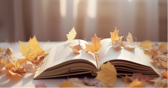 1762003191713944.png 1111.png